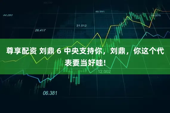 尊享配资 刘鼎 6 中央支持你，刘鼎，你这个代表要当好哇!