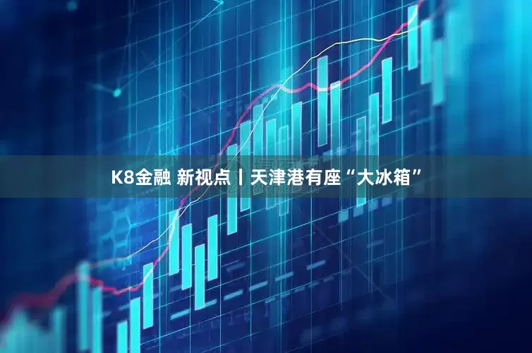 K8金融 新视点丨天津港有座“大冰箱”