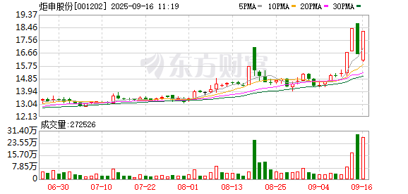 三羊财务 炬申股份录得4天3板